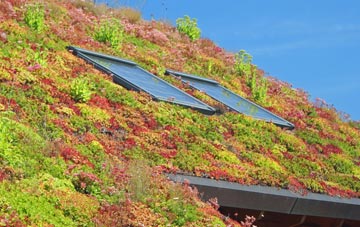 Aberllefenni living roof systems
